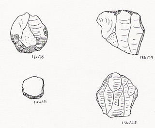 worked flint flakes