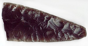 sickle biface