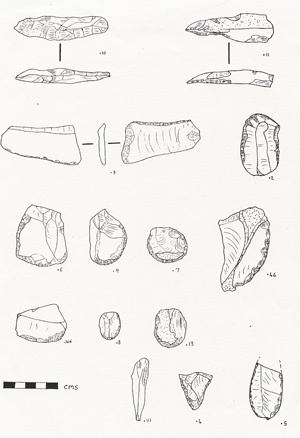 flint finds from Downham 5040