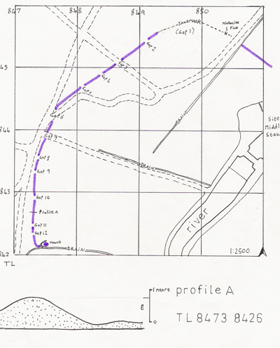 linear earthwork, Thetford Warren