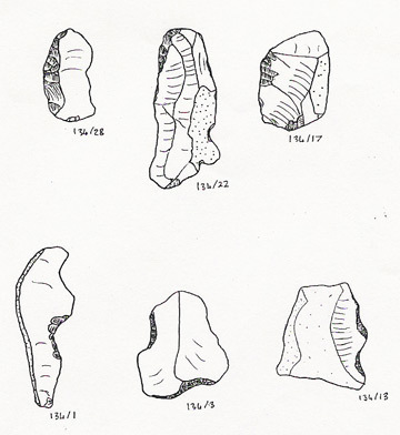 worked flint flakes
