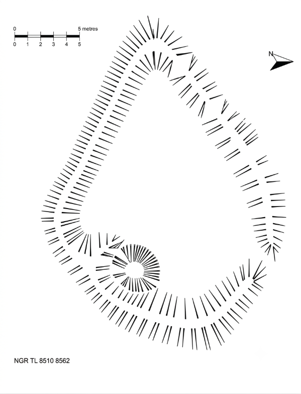 plan of enclosure