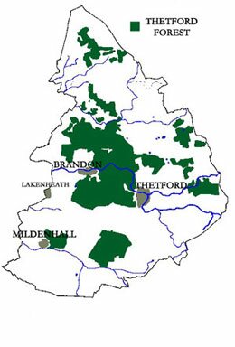 Thetford Forest in the Breckland ESA