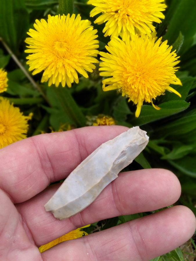 Blade from Two Mile Bottom