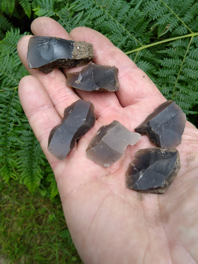 Sample of flint flakes