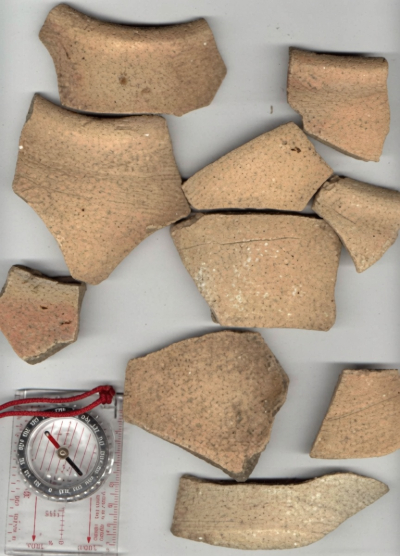 12th-century ginger-buff ceramic sherds from Brandon Park.