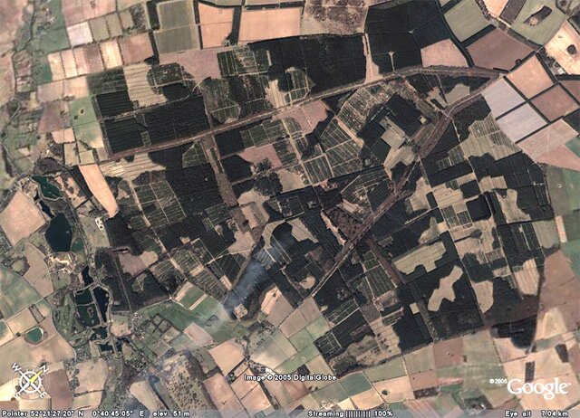 satelitte view of Thetford Forest