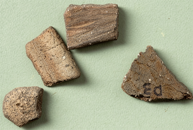 A collection of prehistoric potsherds from forest-walk 34