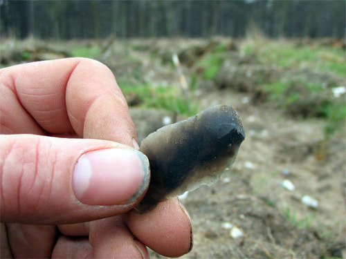 holding a long flake