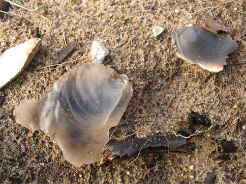 two flint flakes