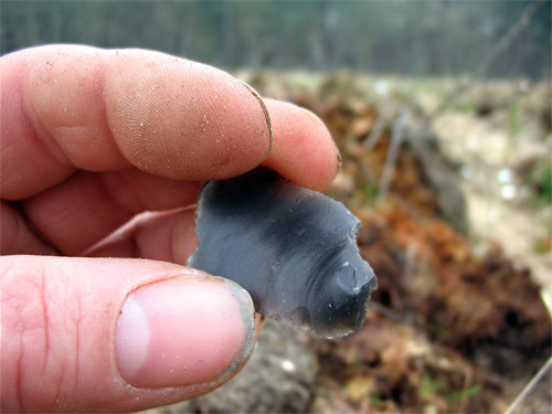struck flint flake