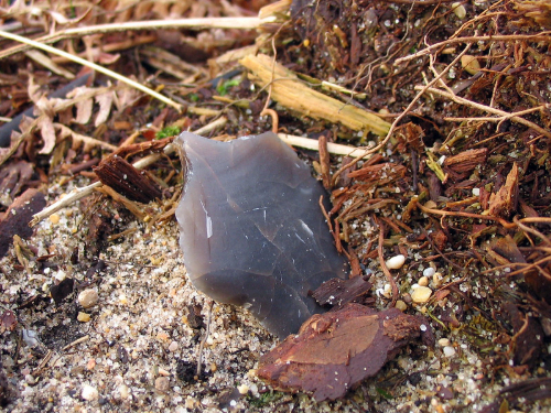 flint flake