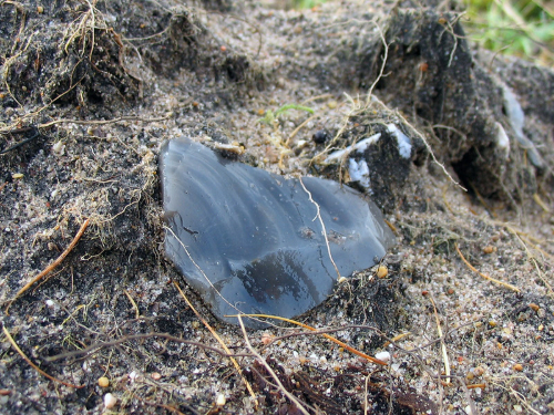 flint flake