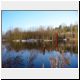 abbeyheath lake