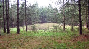 round barrow