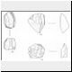 sketches of flint finds