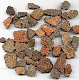 manure-scattered medieval ceramics